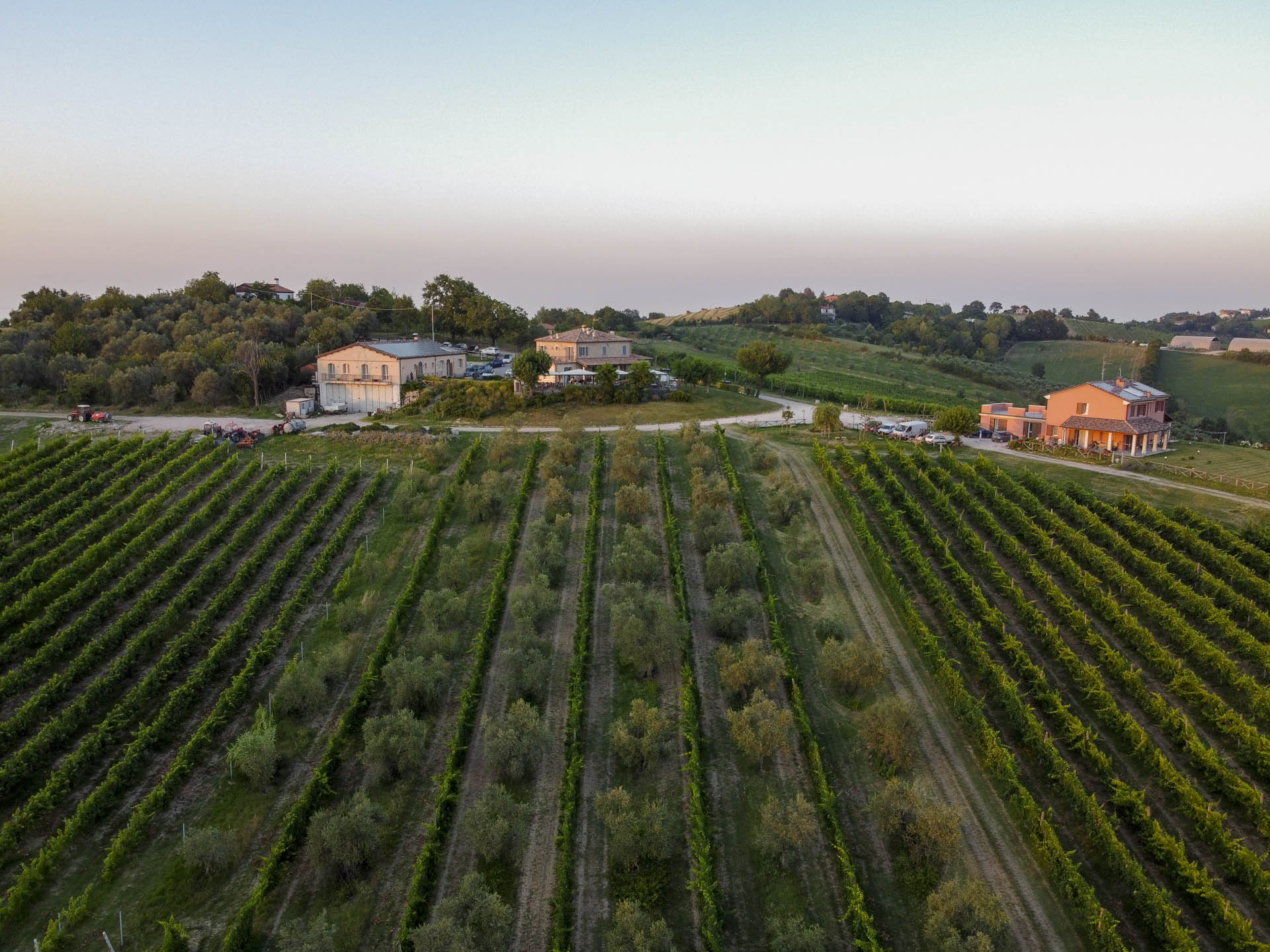 Azienda Agricola Carlini - Villa Verucchio - Rimini