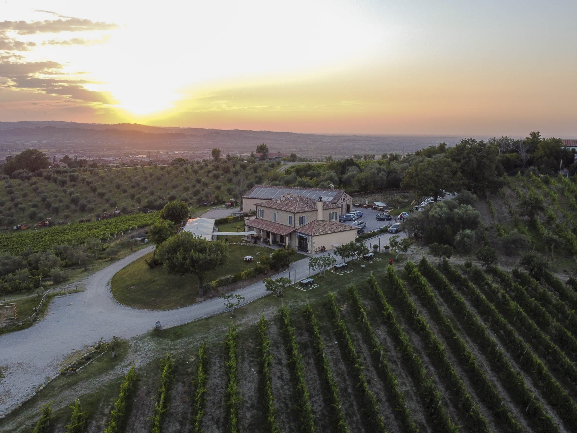 Azienda Agricola Carlini - Villa Verucchio - Rimini