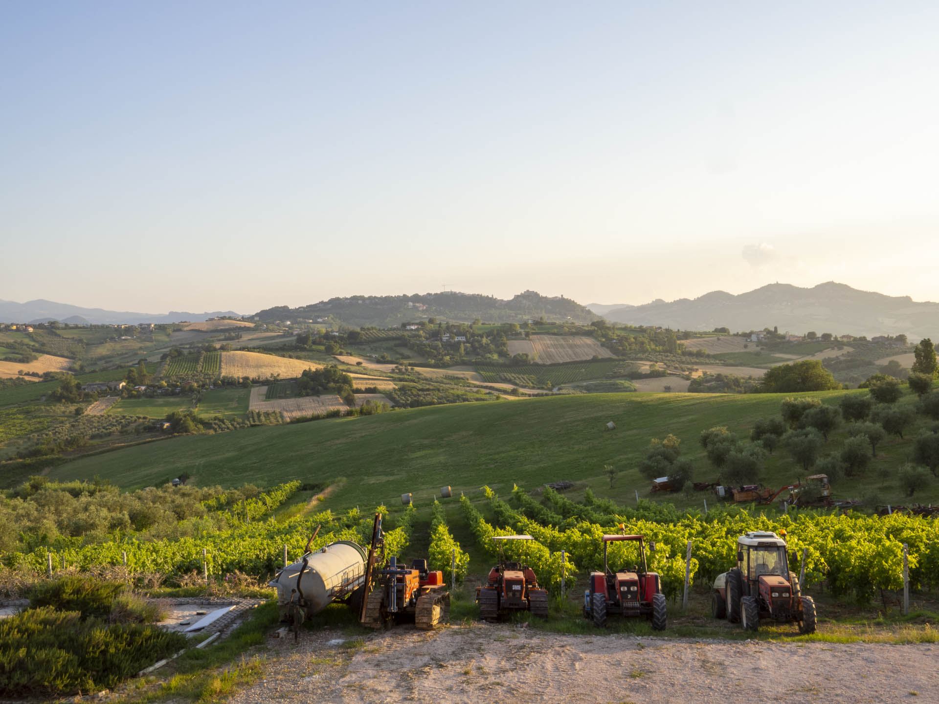 Azienda Agricola Carlini - Villa Verucchio - Rimini