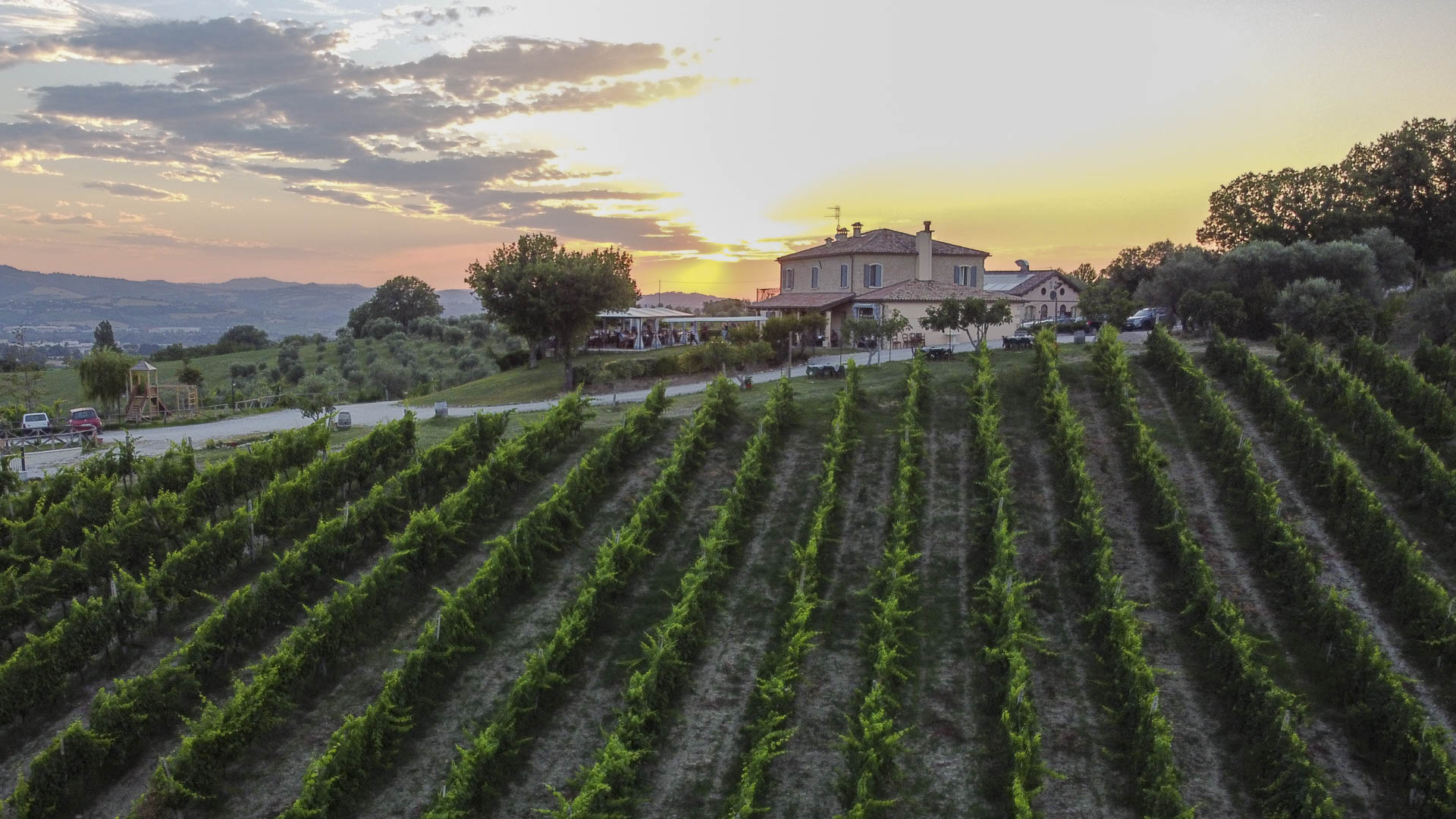 Azienda Agricola Carlini - Villa Verucchio - Rimini