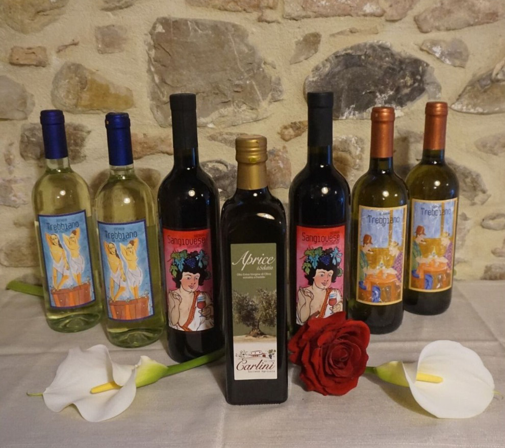 6 bottiglie di vino, 1 di Olio a soli 60 Euro!