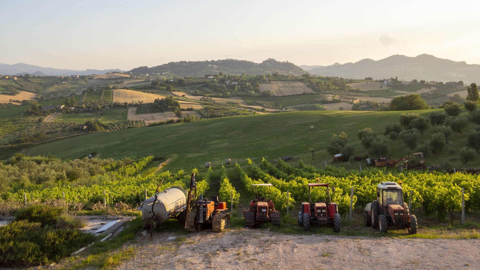 Azienda agricola